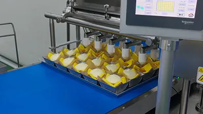 Кондитерские тестоотсадочные машины C400A/C600A/C600X